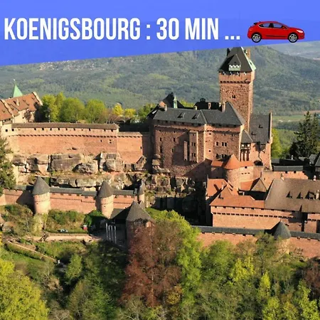 Apartment Le Red St Leon : Lit Queen Size * Wifi * Ideal Couple Colmar
