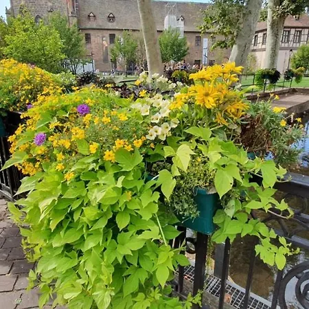 Le Red St Leon : Lit Queen Size * Wifi * Ideal Couple Apartman *