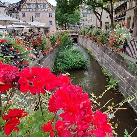 Le Red St Leon : Lit Queen Size * Wifi * Ideal Couple 公寓 科尔马