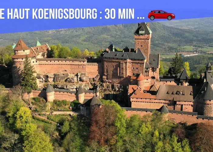 公寓 Le Red St Leon : Lit Queen Size * Wifi * Ideal Couple 科尔马